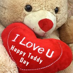 Teddy Day