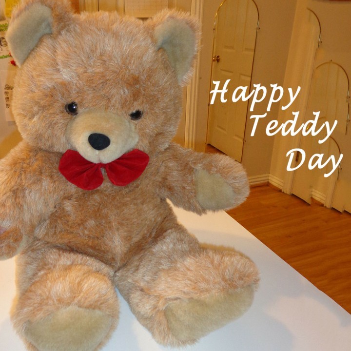 Teddy Day