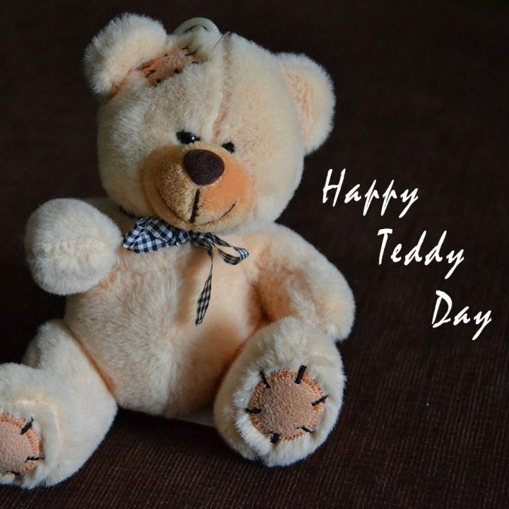 Teddy Day
