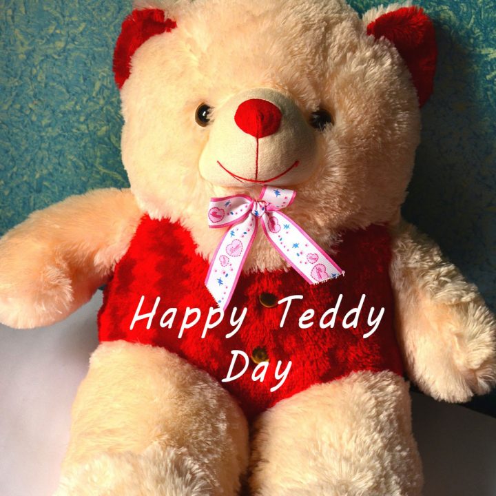Teddy Day