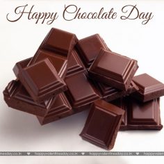 Chocolate Day – funny ecards