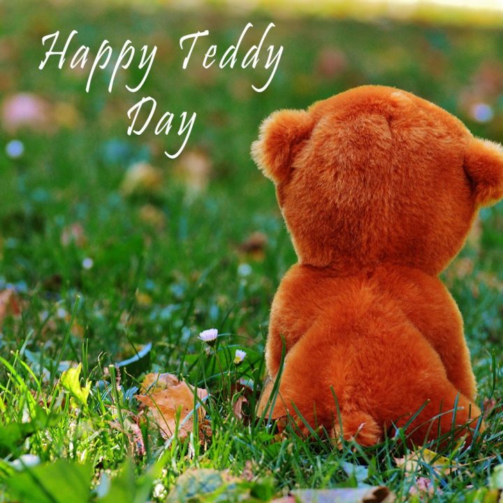 Teddy Day