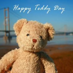 Teddy Day