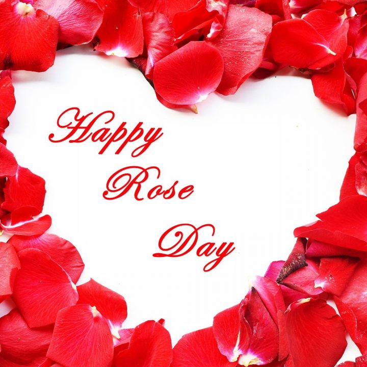 Rose Day