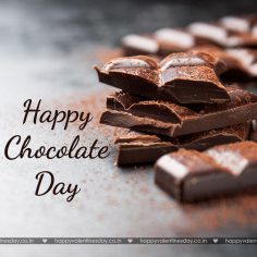 Chocolate Day – funny ecards