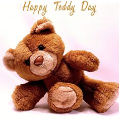 Teddy Day