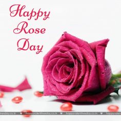 Rose Day – friendship cards