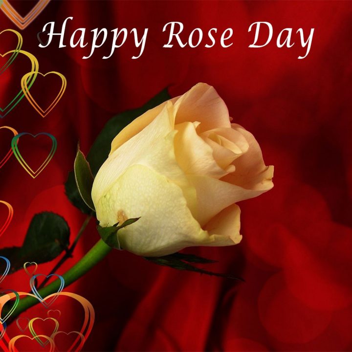 Rose Day – valentines e cards