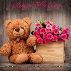 Teddy Day