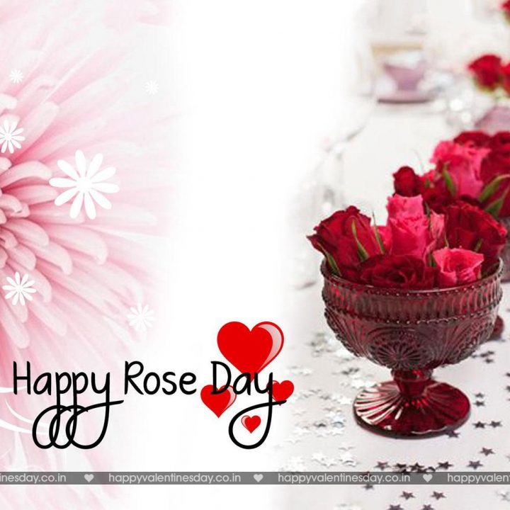 Rose Day – funny cards