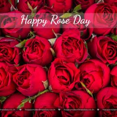 Rose Day – happy valentines day beautiful