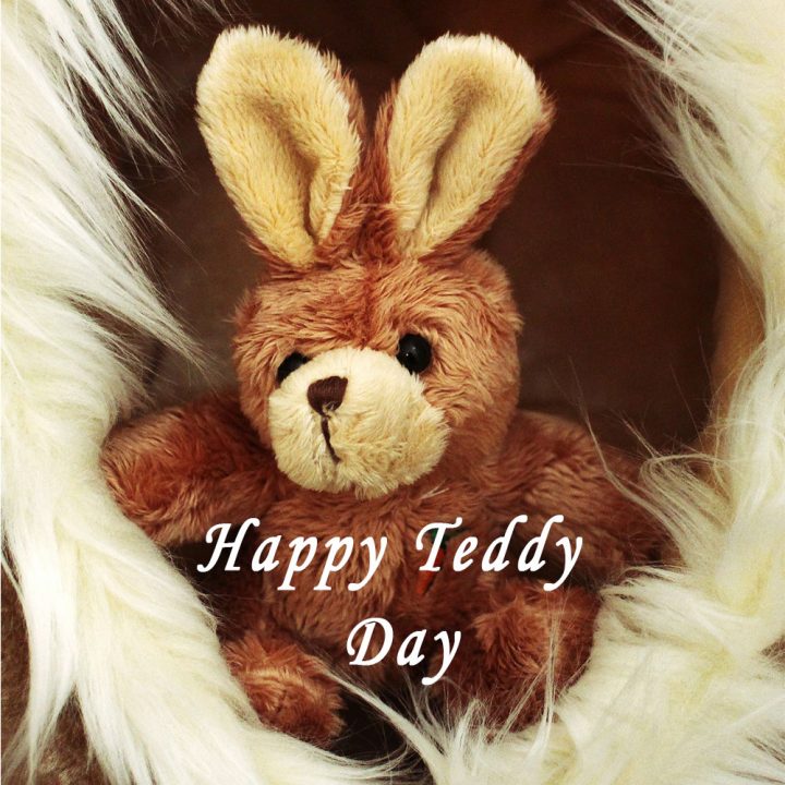 Teddy Day