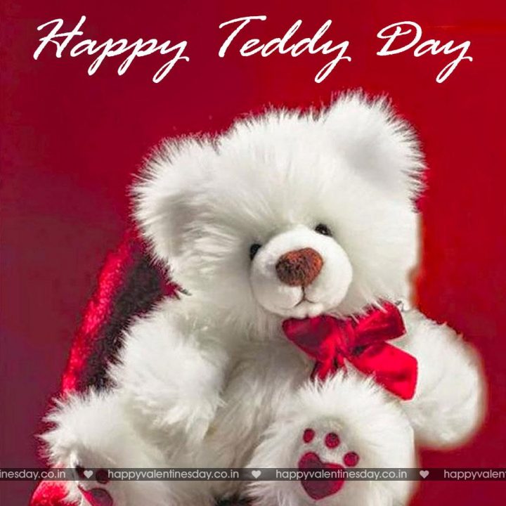 Teddy Day