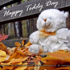 Teddy Day