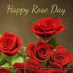Rose Day – valentines day greetings quotes