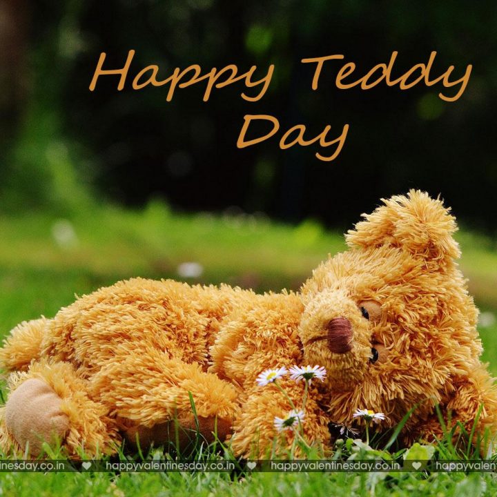 Teddy Day