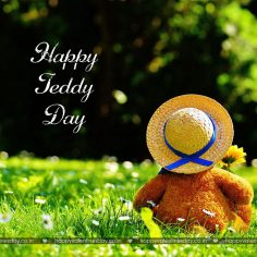 Teddy Day