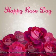 Rose Day – happy valentine day my love