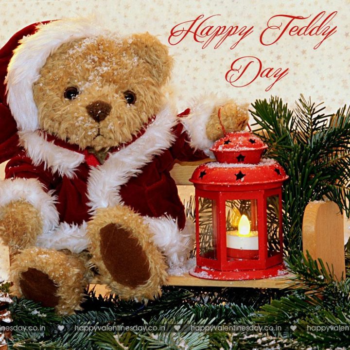 Teddy Day