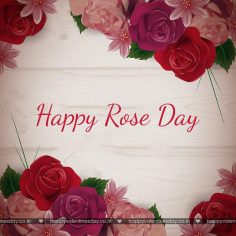 Rose Day – happy valentines day sign