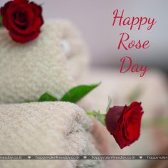 Rose Day – happy valentines day greeting cards