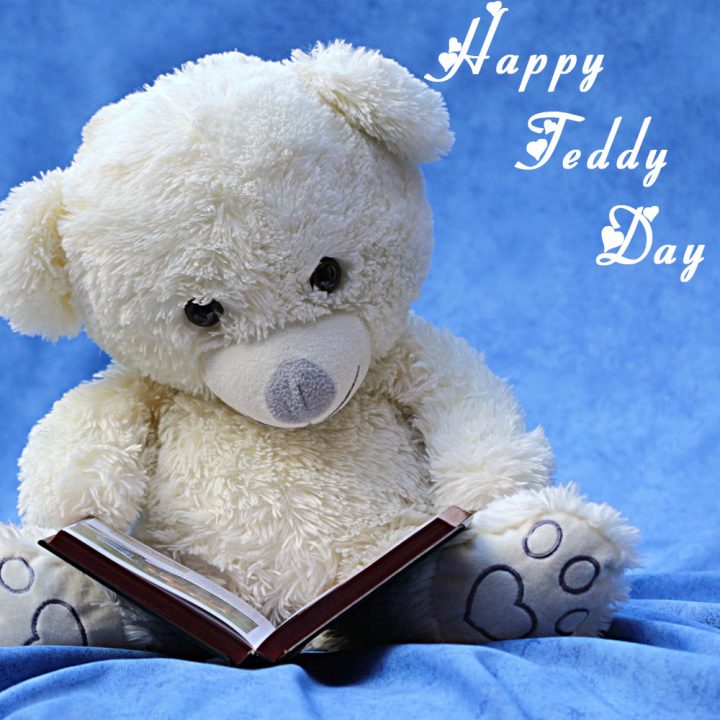 Teddy Day