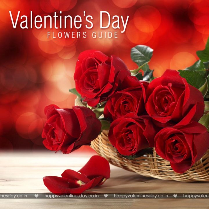 Valentine Day Messages