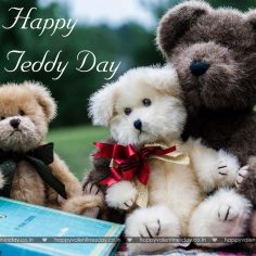 Teddy Day – funny cards