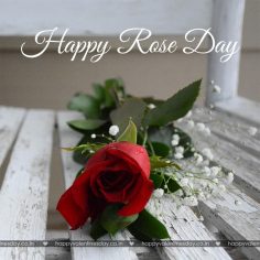 Rose Day – animated cards