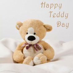 Teddy Day