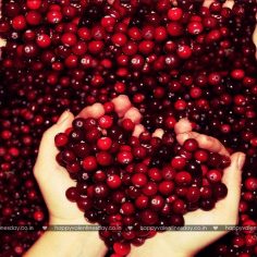 Love Messages – happy valentines day boyfriend