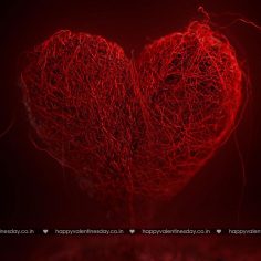 Love Messages – funny cards
