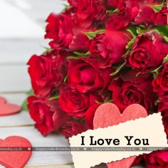 Love Messages – happy valentines day in spanish