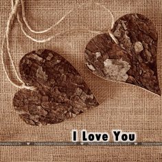 Love Messages – valentines day greetings quotes