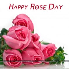 Rose Day