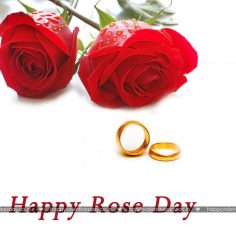 Rose Day