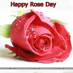 Rose Day – greetings for valentines day