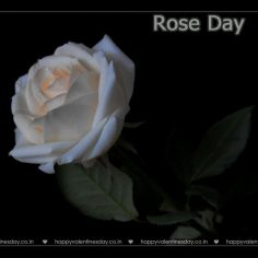 Rose Day – happy valentines day sayings