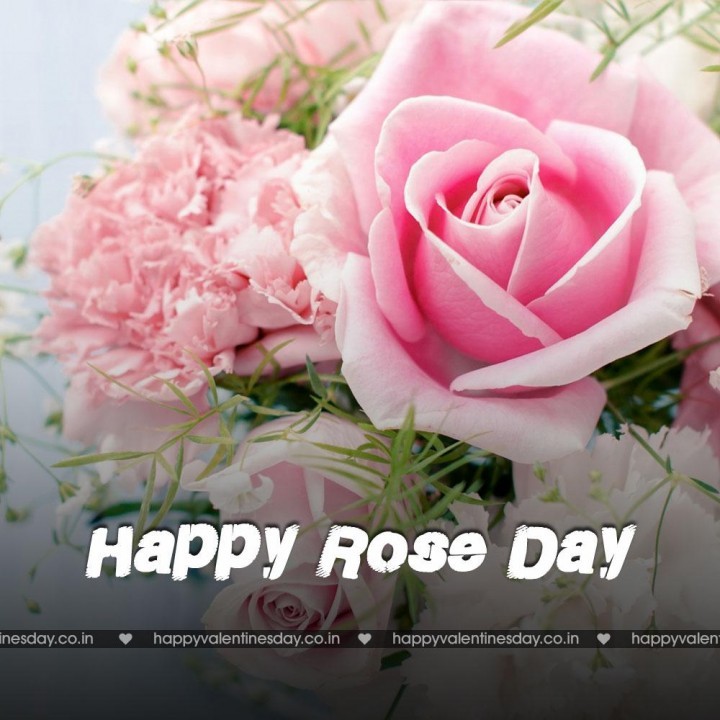 Rose Day