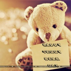 Teddy Day Valentine 116