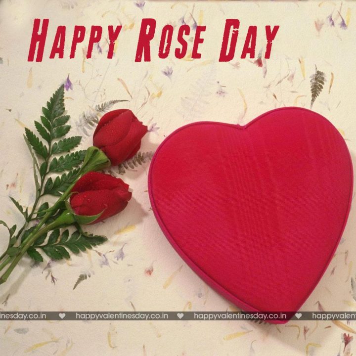 Rose Day