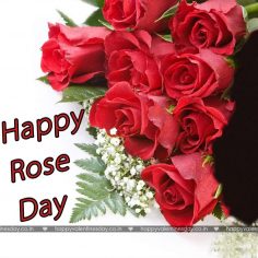 Rose Day