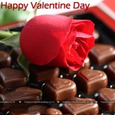 Valentines day cards