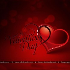 Happy valentines day photo