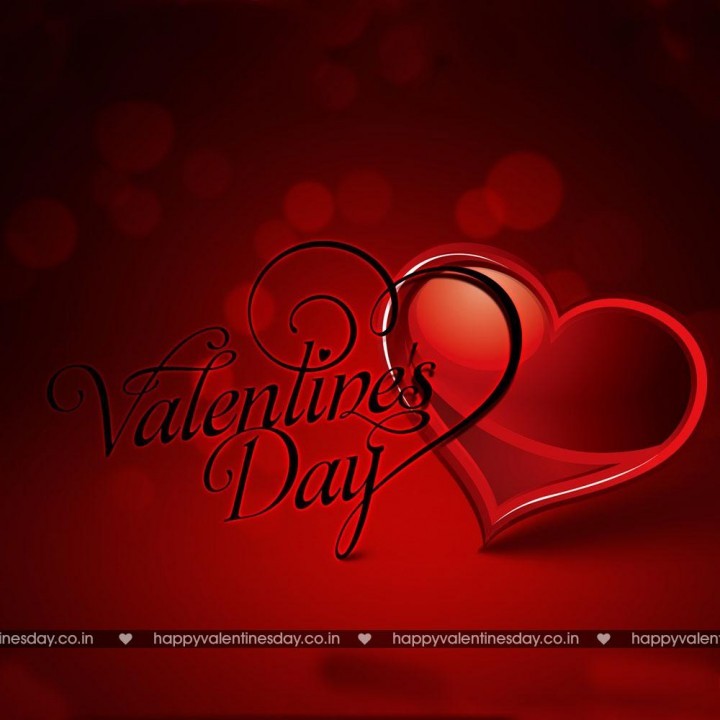 Happy valentines day photo