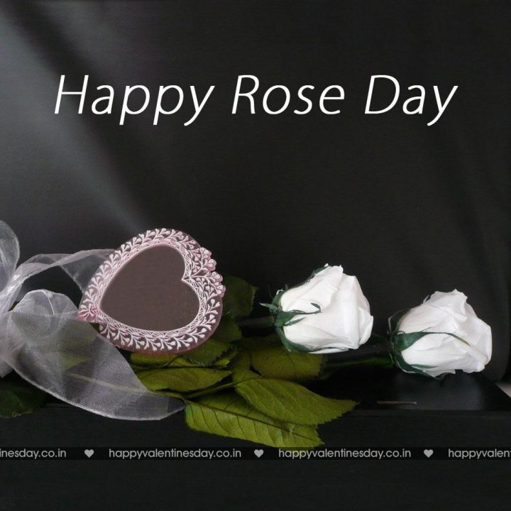 Rose Day