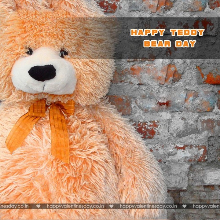 Teddy Day Valentine 85