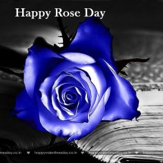 Rose Day – happy valentines day to my daughter