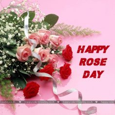 Rose Day