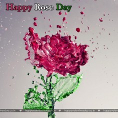 Rose Day